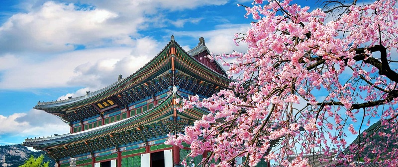 Hàn Quốc nằm trong số những địa điểm du lịch rẻ hơn