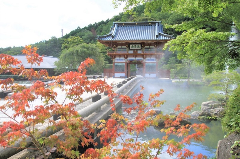 10 điều nên làm ở Osaka vào mùa thu