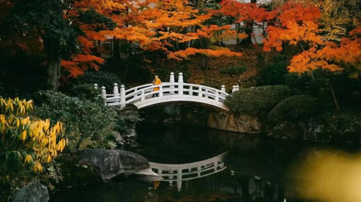 Đây là lý do tại sao bạn nên ghé thăm Tokyo trong những tháng này