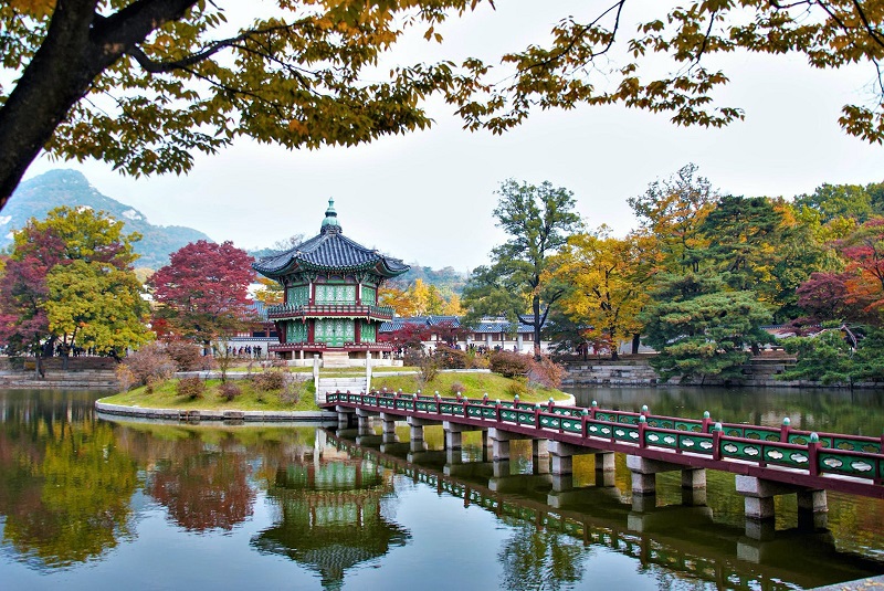 Một góc Công viên Quốc gia Jangtaesanp (Daejeon, Hàn Quốc).