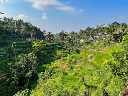 Những điều tốt nhất để làm ở Ubud, Bali