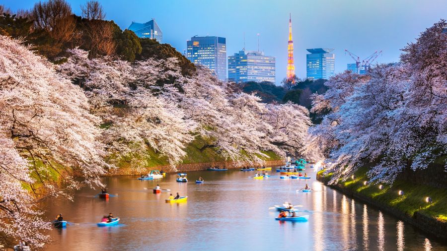 Dưới đây là 5 lời khuyên để tránh tình trạng tắc nghẽn du lịch ở Nhật Bản
