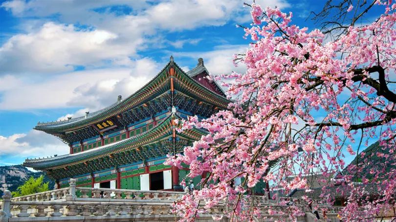 Những điều cần làm ở Seoul: Điểm đến du lịch tuyệt vời nhất của Hàn Quốc