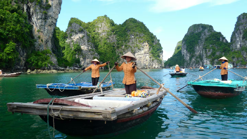 Vịnh Hạ Long là nơi có gần 2000 hòn đảo đá vôi, mỗi hòn đảo có hình dạng và kích thước độc đáo.