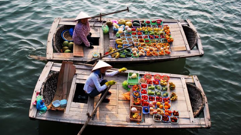 Làm thế nào để nhìn thấy những điều tốt nhất của Việt Nam