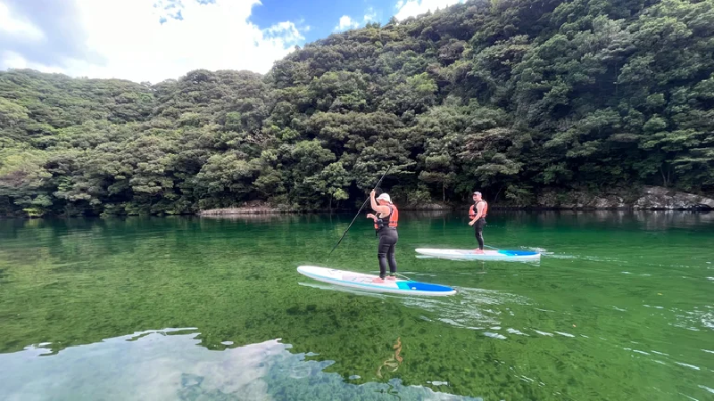 Chuyến chèo thuyền ngược dòng Sông Anbo êm đềm của Yakushima rất ngắn—khoảng nửa dặm—và tuyệt đẹp. Thỉnh thoảng bạn có thể phát hiện những chú rùa đang ngược dòng và những chú khỉ trong khu rừng xung quanh.