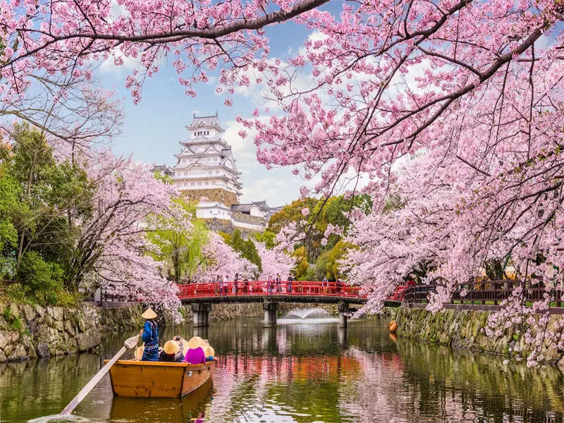 Tour Nhật Bản 5 Ngày 4 Đêm YAMANASHI – OWAKUDANI – FUJI – TOKYO