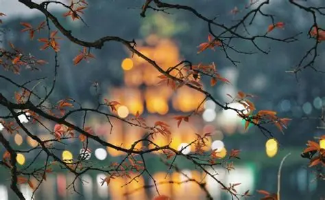 Một ngày trải nghiệm thu Hà Nội với tour riêng