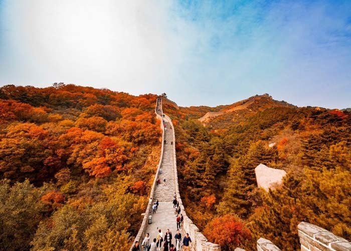 Khách Việt dành 12 ngày 'săn' mùa thu vàng ở Bắc Kinh